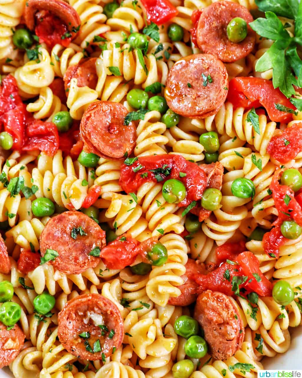 closeup of white bowl filled with pasta, tomatoes, herbs, peas, and linguica.