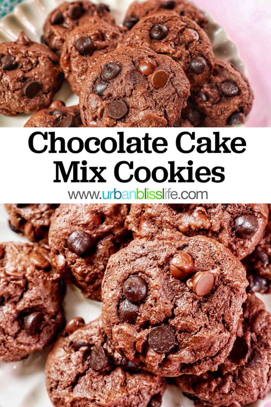 several chocolate cake mix cookies on a scalloped cream colored plate on pink table with title text overlay.