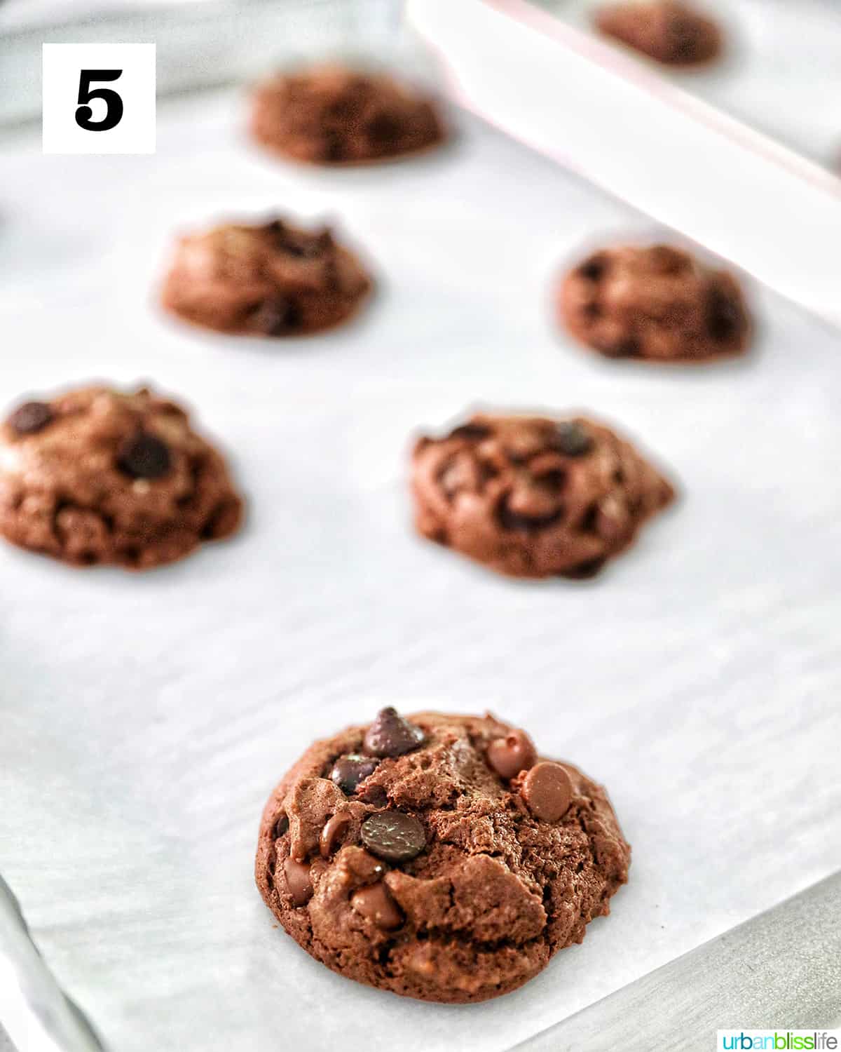 diagonal rows of chocolate cake mix cookies on parchment paper, fully baked.