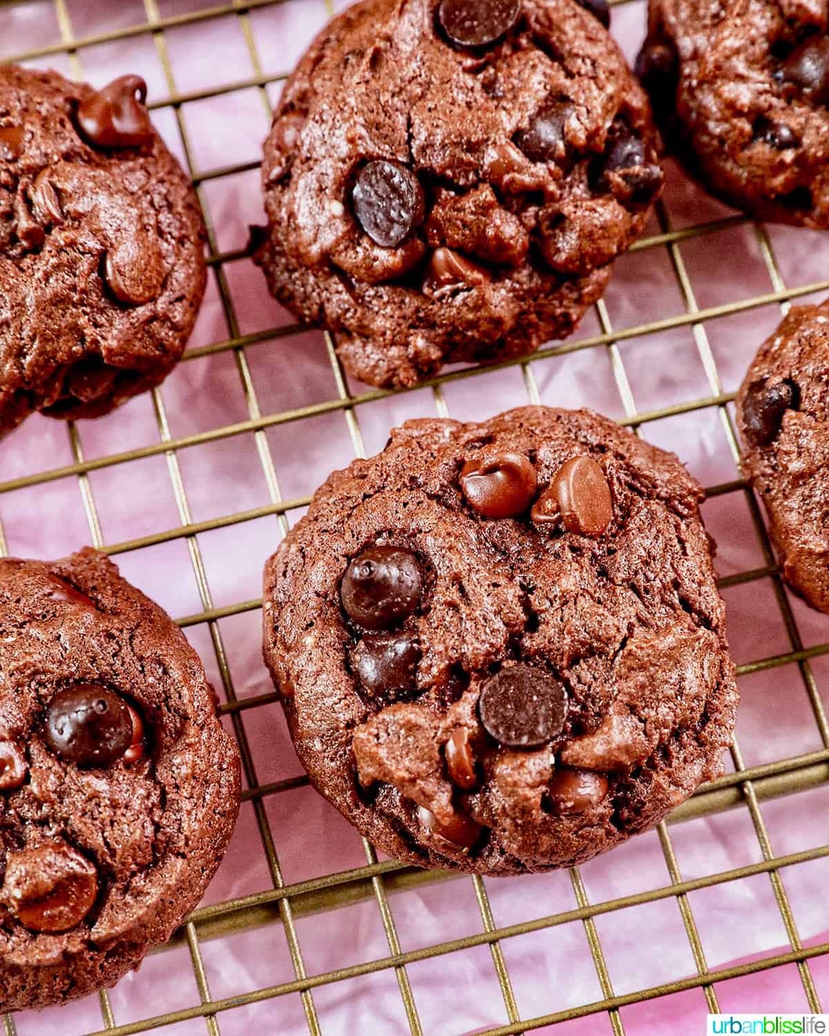 two rows of baked chocolate cake mix cookies on a cooling rack on pink table.
