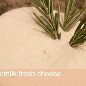 simple homemade cheese
