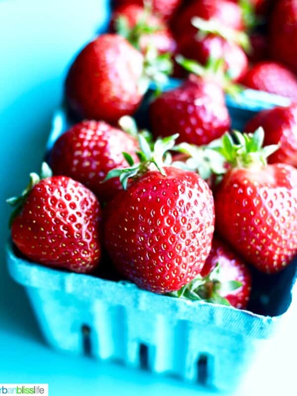fresh picked strawberries