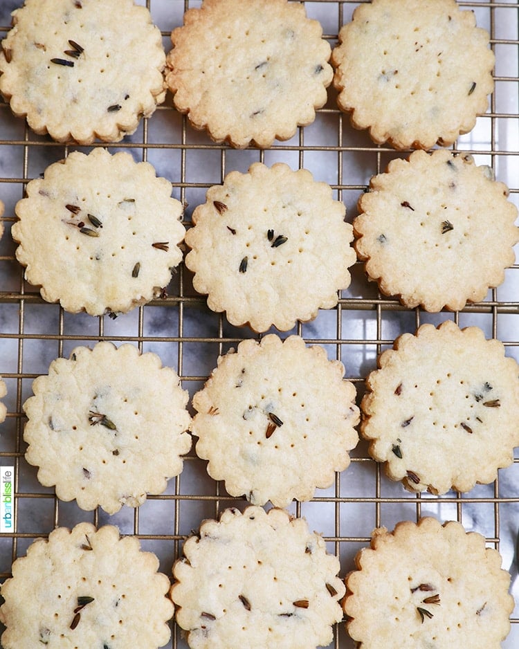 lavender shortbread cookies on a cooling rack