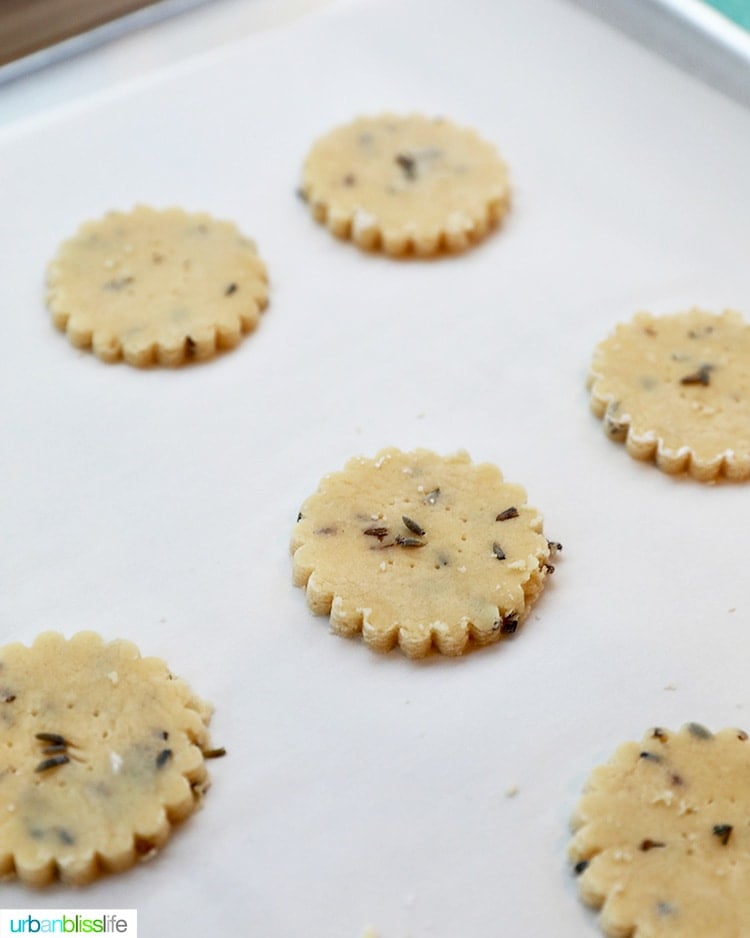 lavender shortbread cookies ready to bake