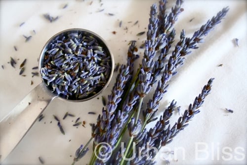 Lavender Shortbread Cookies 