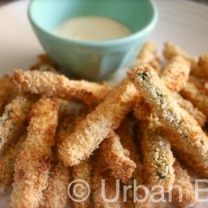 Urban Bliss Zucchini Fries