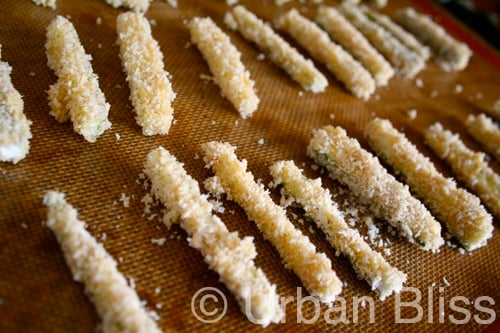 Urban Bliss Zucchini Fries