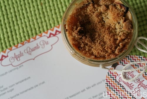 Mini Pies - 06 Mini Apple Crumb Pies in a Jar