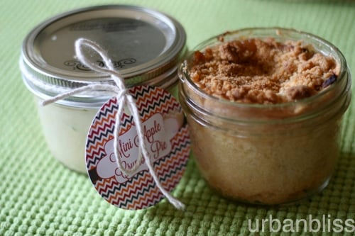 Mini Pies - 11 mini pies in a jar pie recipes