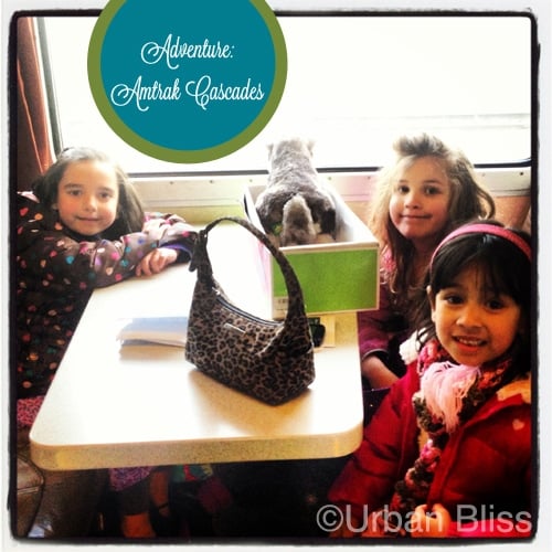 Travel Adventure: Amtrak Cascades Portland to Seattle