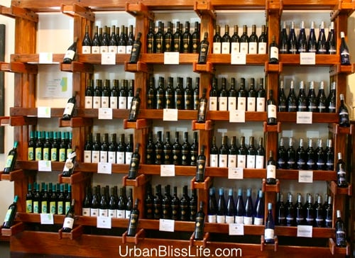 WA Wine Country - Badger Mountain - 01