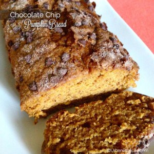 Chocolate chip pumpkin bread recipe