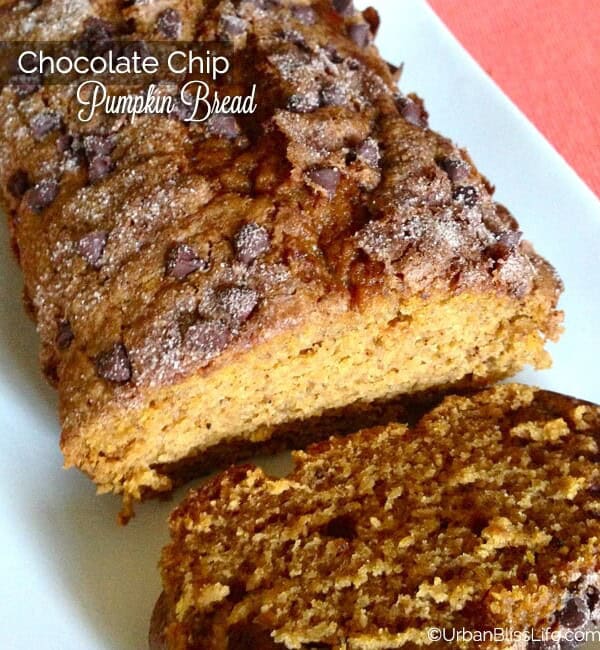 Chocolate chip pumpkin bread recipe