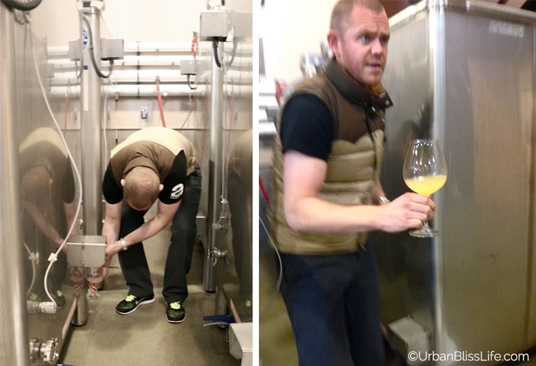 HawksViewCellars - Fermenting Wine