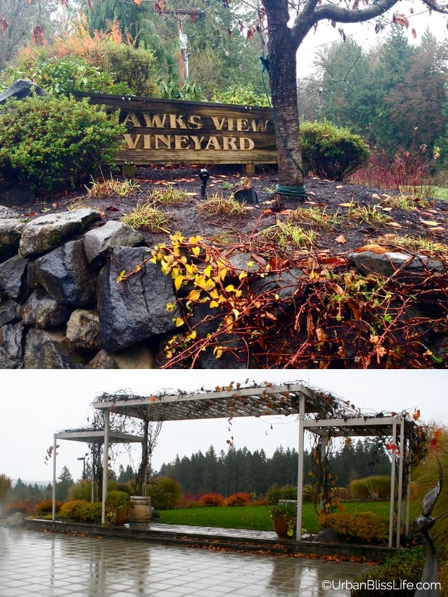 HawksViewCellars - Outdoors