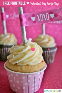 Valentine's Day Printable Party Flags