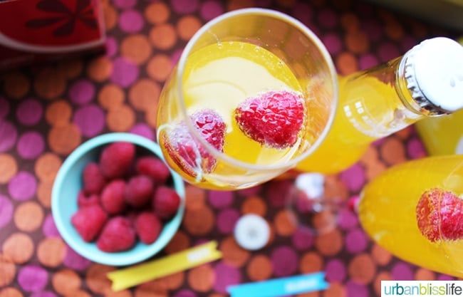 IZZE mixed drink recipe