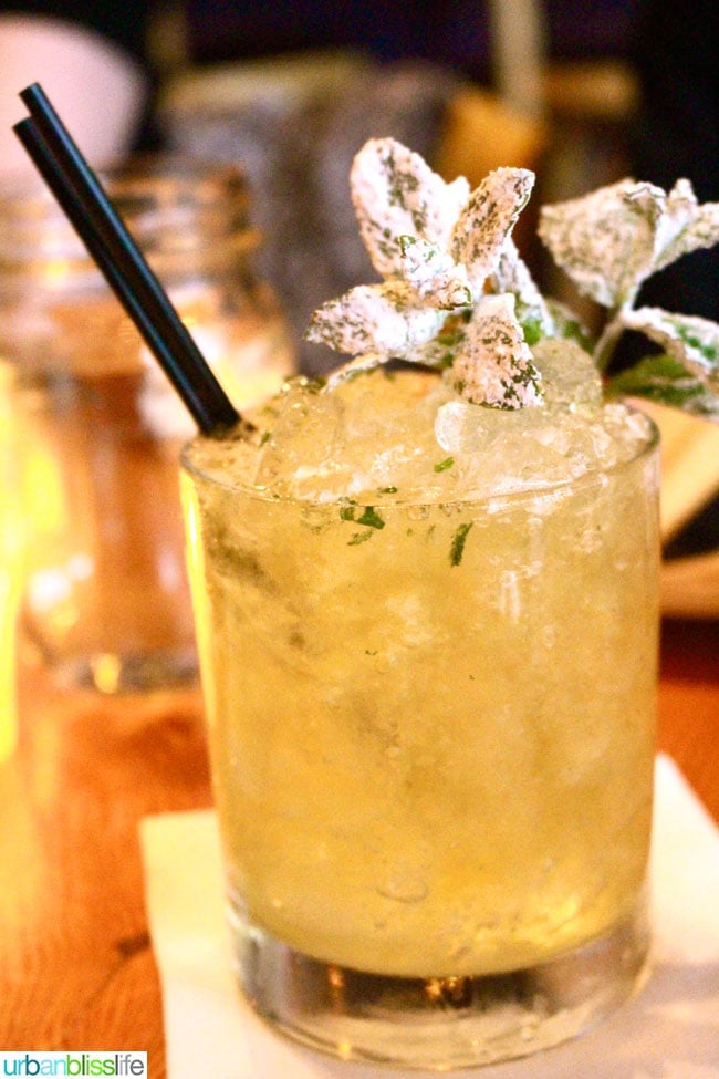 Acadia cajun restaurant Portland, Oregon cocktail