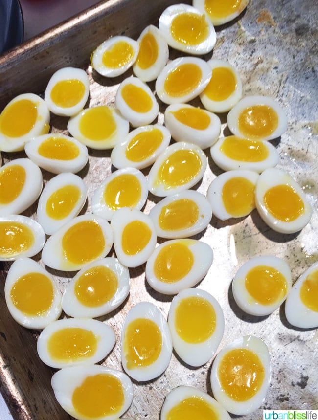 eggs in half