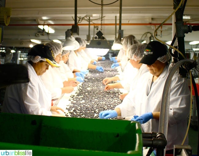 Oregon Fruit Products tour
