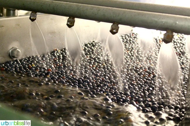 Oregon Fruit Products tour