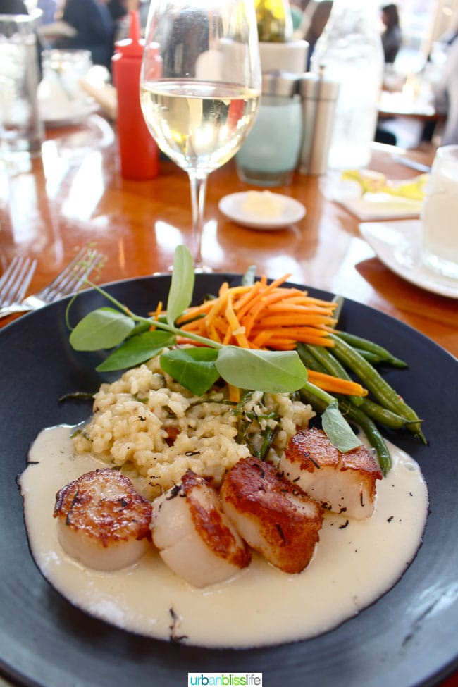 Bridgewater Bistro scallops  - travel bliss: Astoria, Oregon on UrbanBlissLife.com