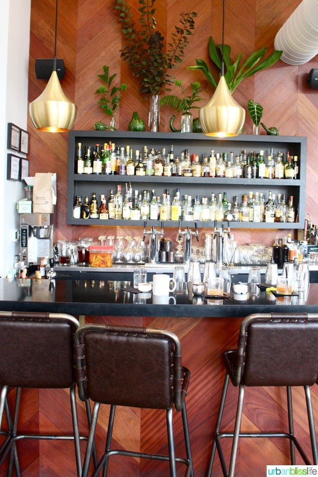 North Light Bar