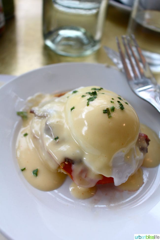 North Light Benedict