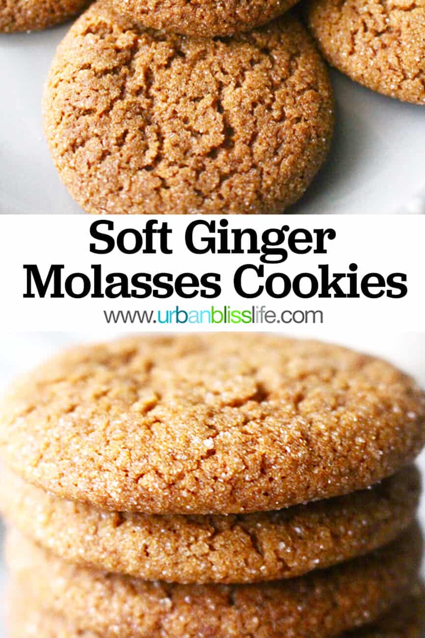 Soft Ginger Molasses Cookies