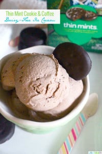 Thin Mint Cookie Coffee Dairy Free Ice Cream