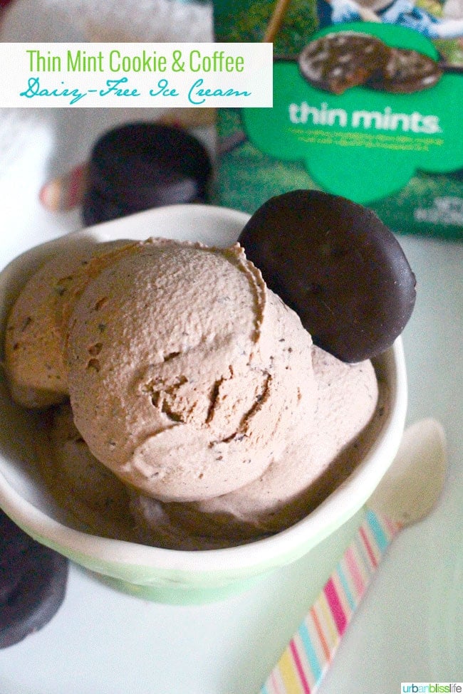 Thin Mint Cookie Coffee Dairy Free Ice Cream