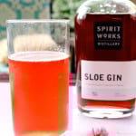 Sloe Gin Fizz cocktail recipe