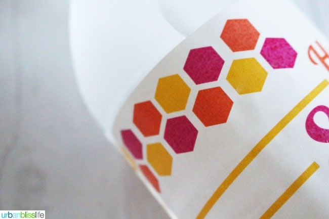 Free Summer Printables: Road Trip Games & Water Bottle Labels on UrbanBlissLife.com