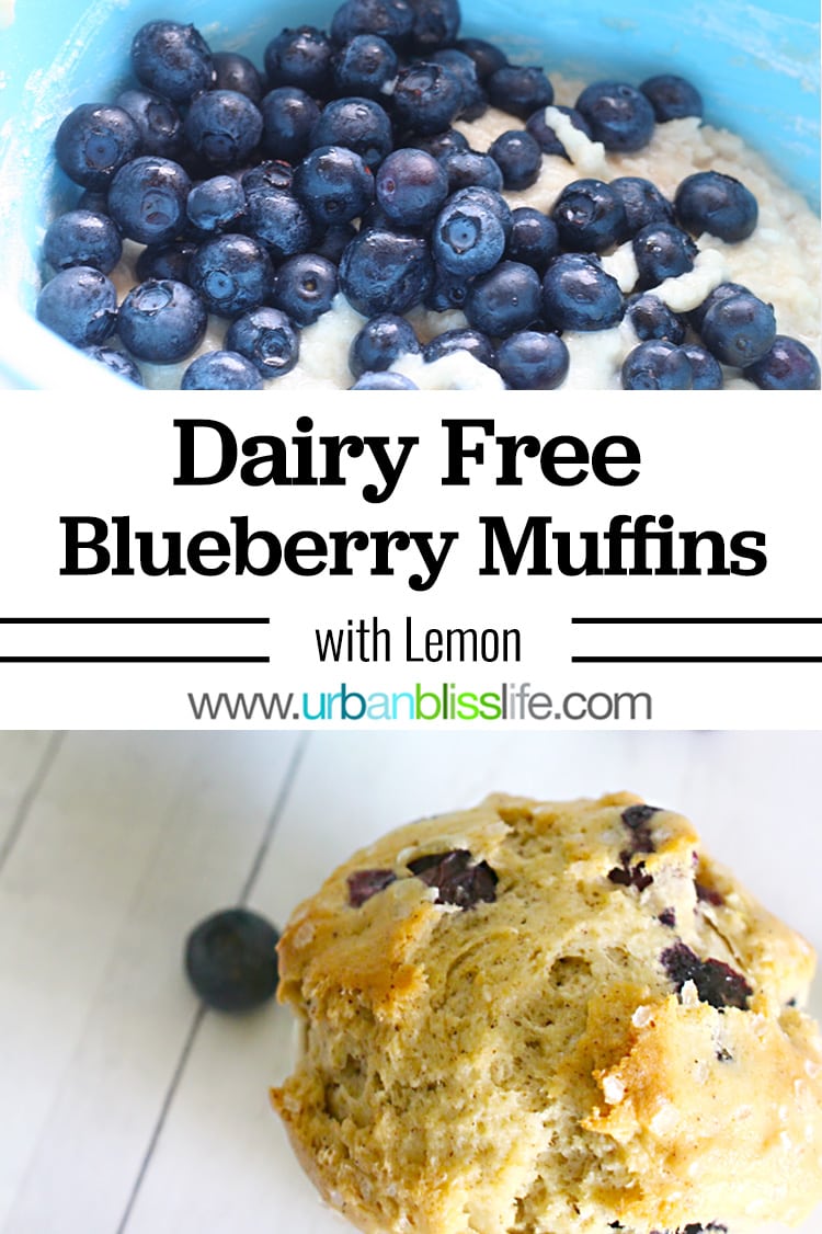 Dairy Free Blueberry Muffins