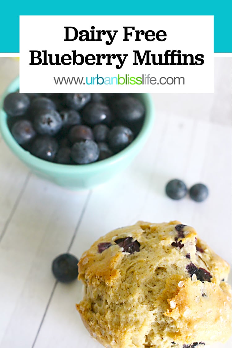 Dairy Free Blueberry Muffins