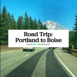 highway with cars on it leading to Mount Hood.
