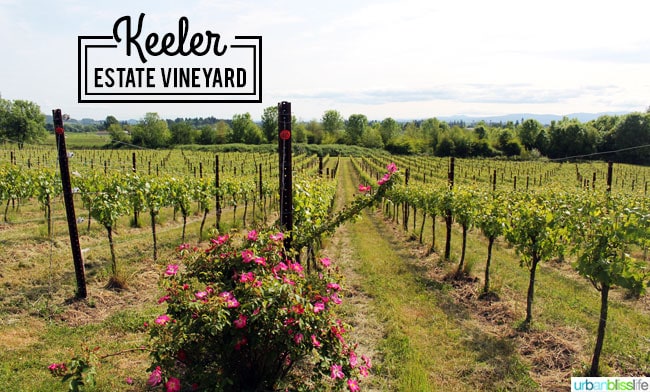 Keeler Estate Vineyards winery on UrbanBlissLife.com