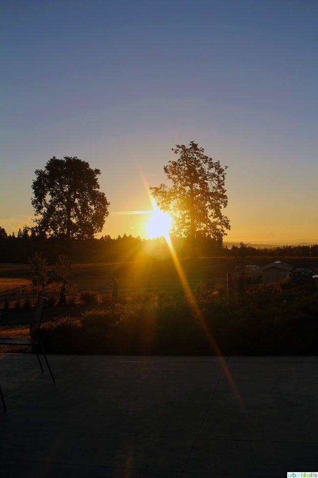 Oregon Wine Country Half Marathon sunrise