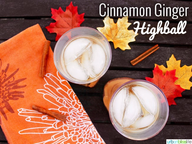 Cinnamon Ginger Highball fall cocktail recipe on UrbanBlissLife.com
