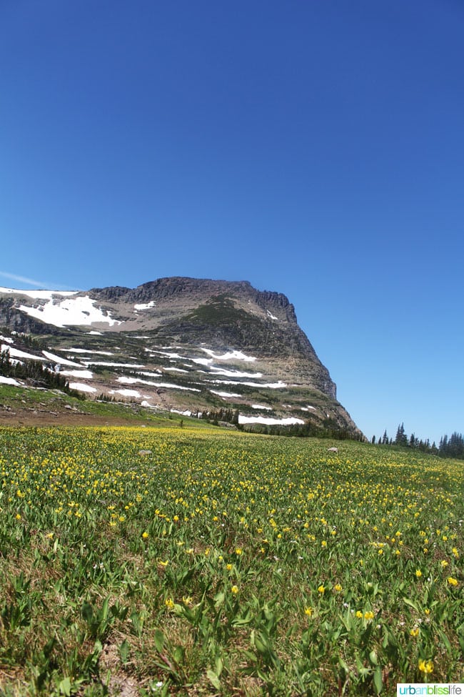 Glacier National Park