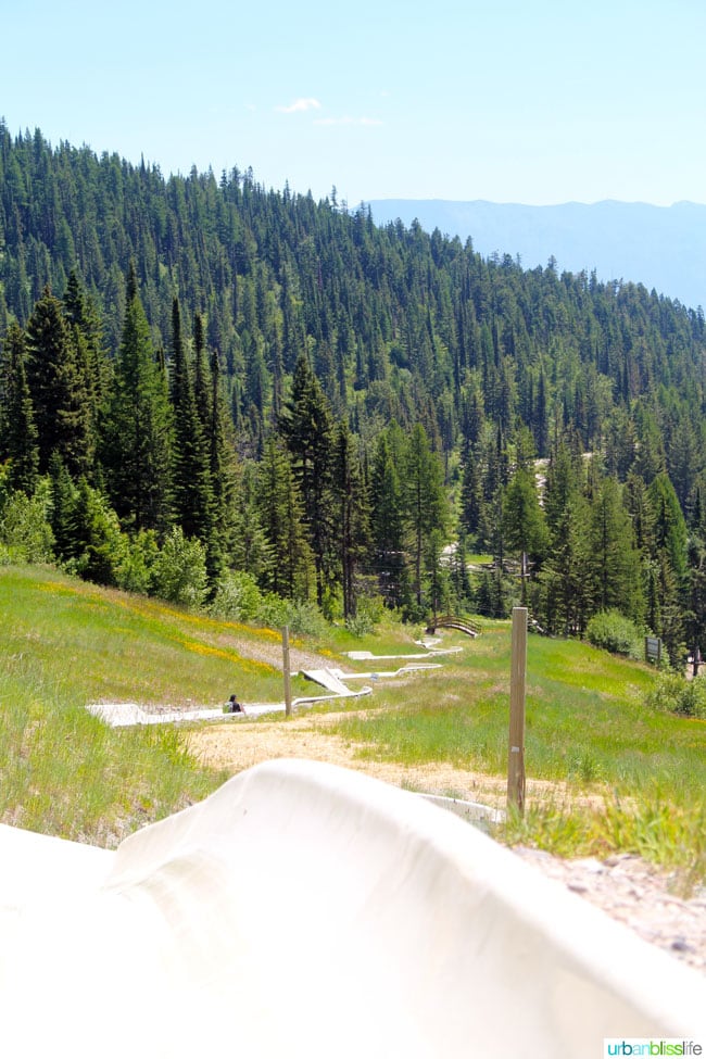 Whitefish Mountain Resort Summer Activities: alpine slide