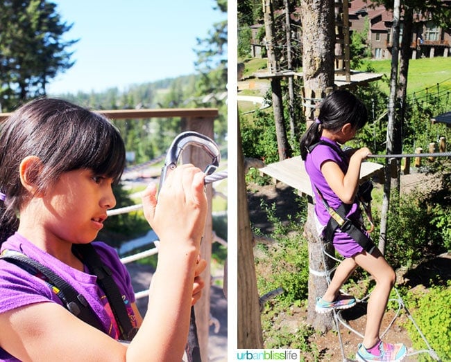 Whitefish Mountain Resort aerial park