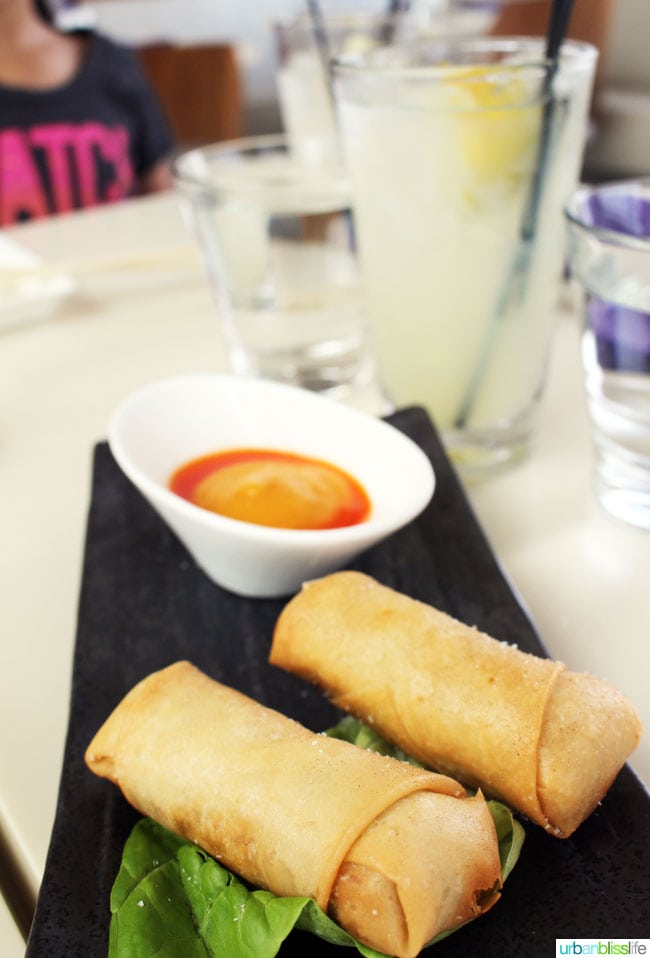 Departure Restaurant Portland spring rolls