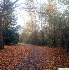 Fall Park