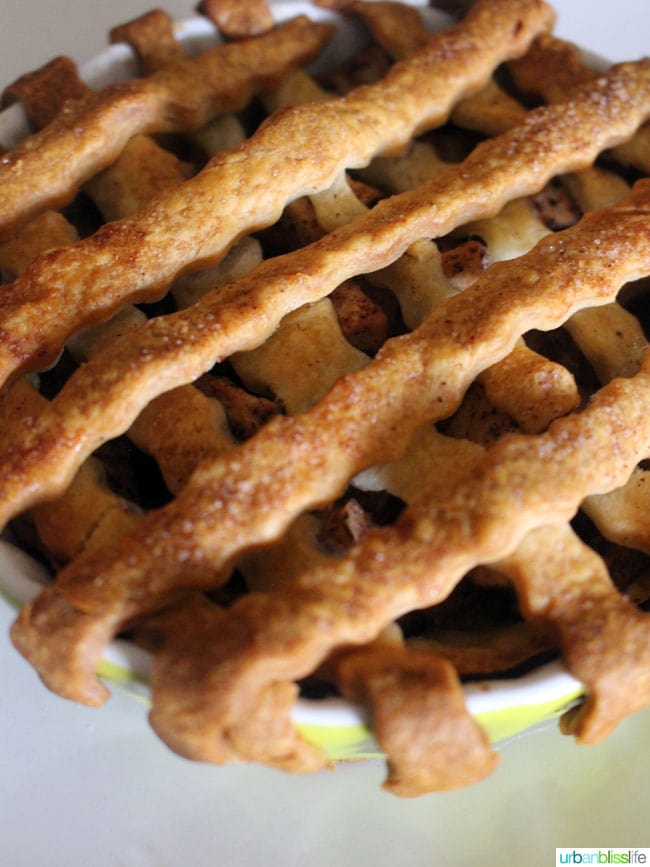 Mini Apple Pies on UrbanBlissLife.com