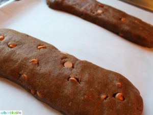 two logs of biscotti dough