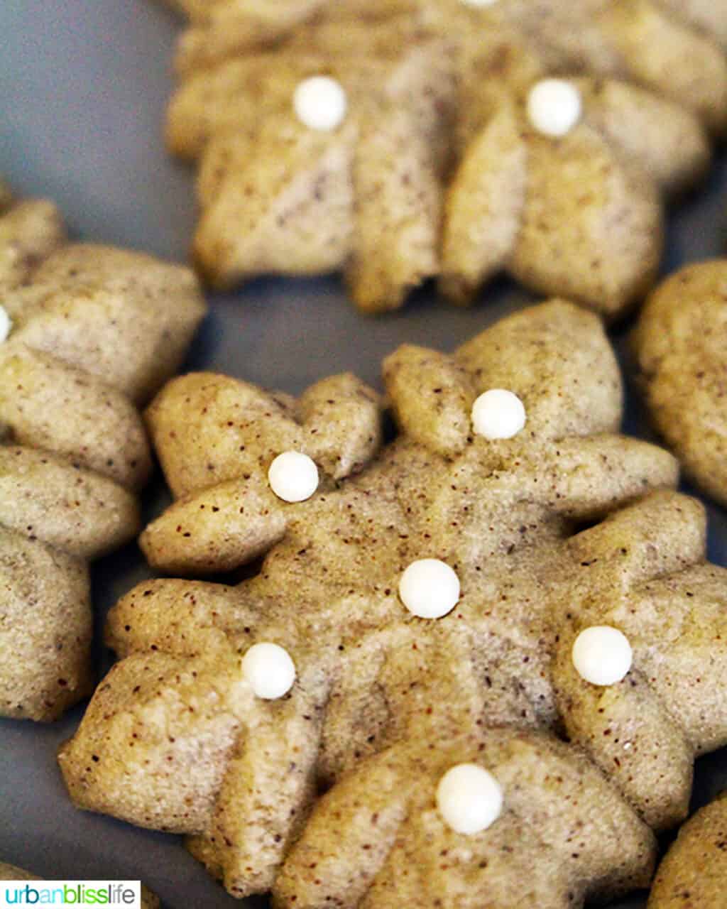 closeup of Cinnamon Spritz Cookies.