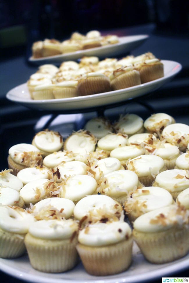 mini cupcakes