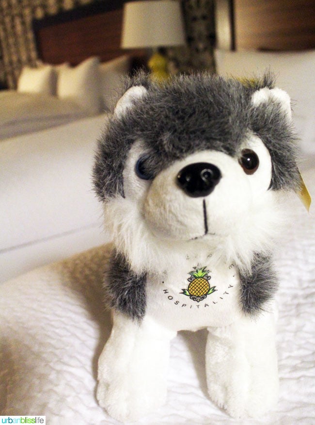 stuffed animal dog