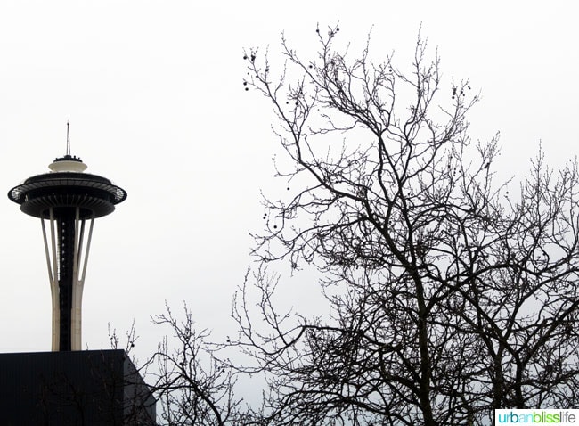 space needle